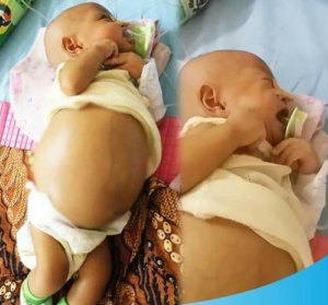 Beranda › News AXCI Chapter Asahan Patungan